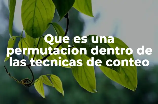 Que es una Permutacion Dentro de las Tecnicas de Conteo