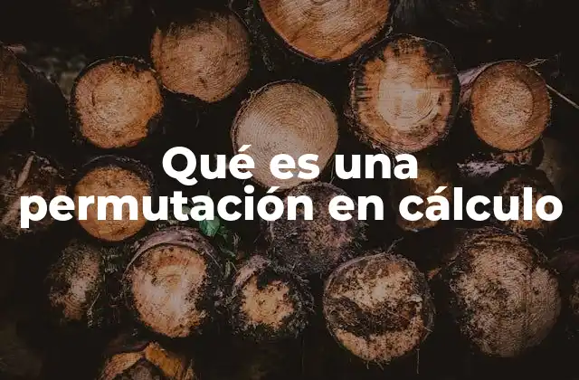 Qué es una Permutación en Cálculo