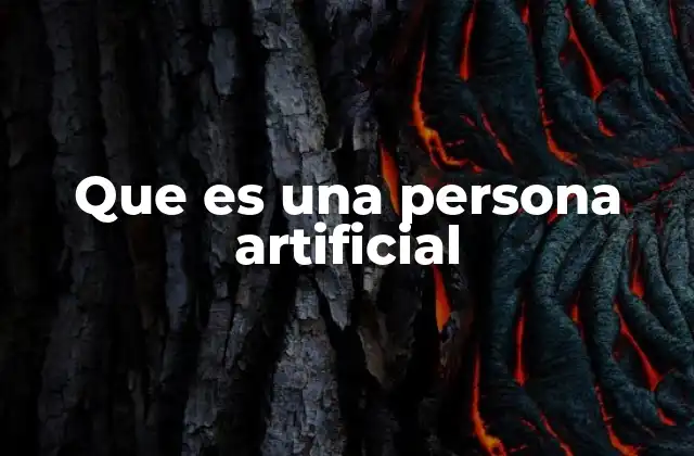 Que es una Persona Artificial