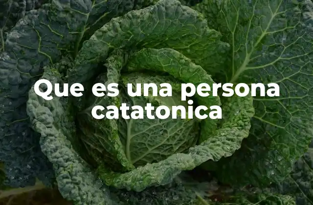 Que es una Persona Catatonica