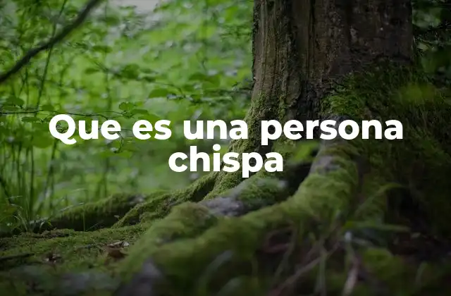 Que es una Persona Chispa