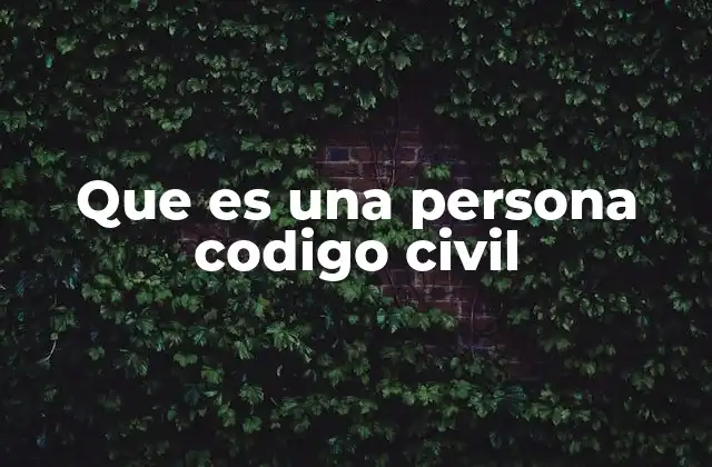 Que es una Persona Codigo Civil
