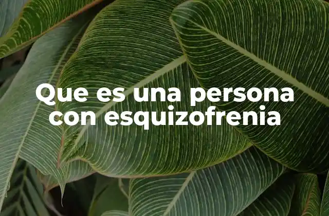 Que es una Persona con Esquizofrenia