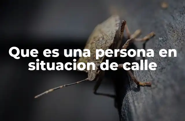 Que es una Persona en Situacion de Calle