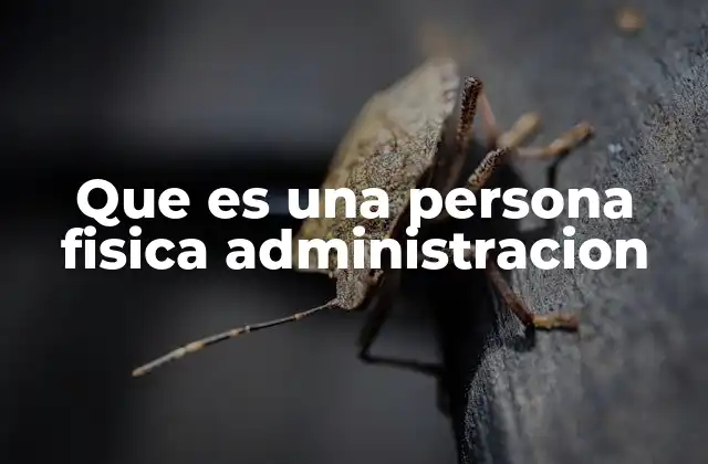 Que es una Persona Fisica Administracion
