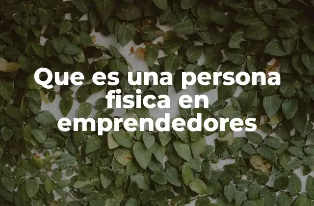 Que es una Persona Fisica en Emprendedores