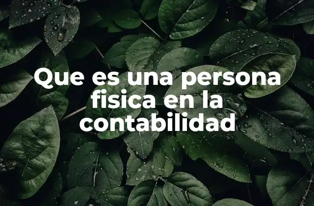 Que es una Persona Fisica en la Contabilidad