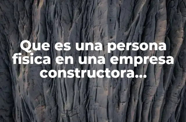 Que es una Persona Fisica en una Empresa Constructora Obligaciones