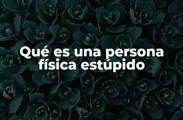 Qué es una Persona Física Estúpido