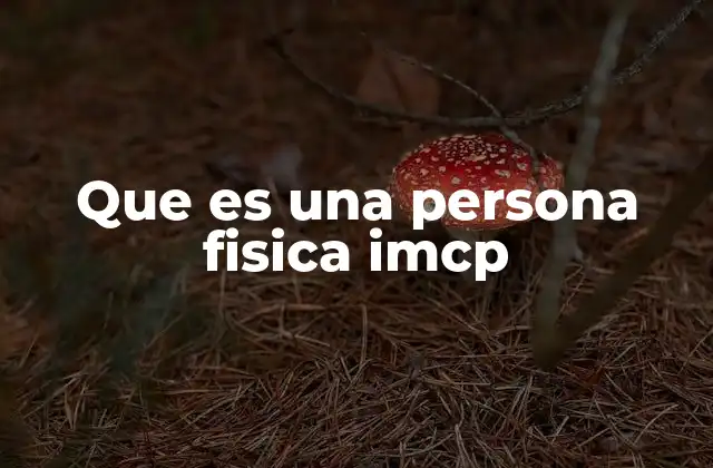 Que es una Persona Fisica Imcp