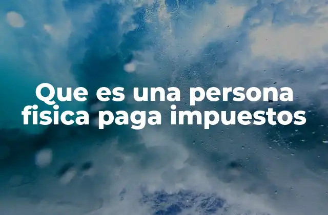 Que es una Persona Fisica Paga Impuestos 2 El rol de las personas físicas en el sistema fiscal