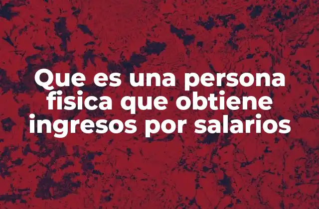 Que es una Persona Fisica que Obtiene Ingresos por Salarios