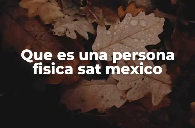 Que es una Persona Fisica Sat Mexico
