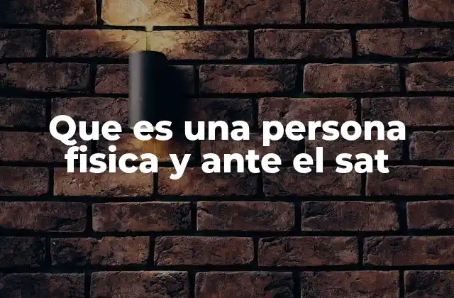 Que es una Persona Fisica y ante el Sat