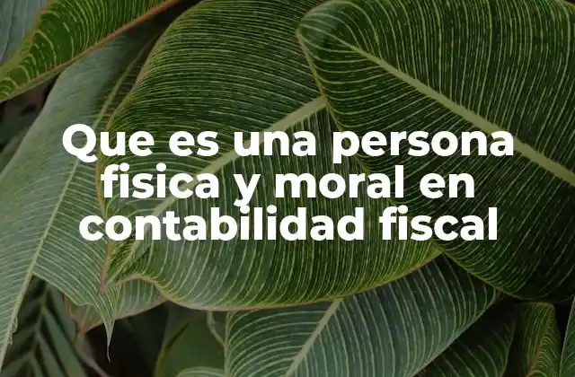 Que es una Persona Fisica y Moral en Contabilidad Fiscal