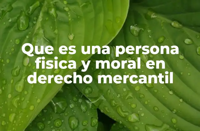 Que es una Persona Fisica y Moral en Derecho Mercantil