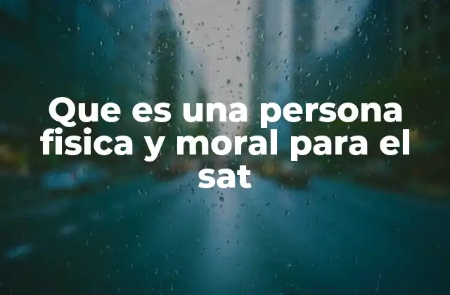 Que es una Persona Fisica y Moral para el Sat