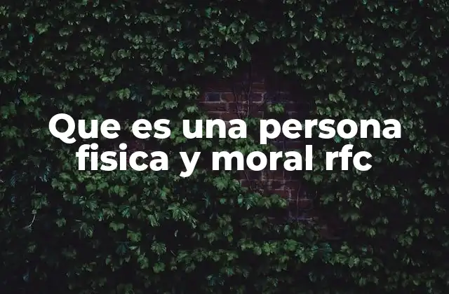Que es una Persona Fisica y Moral Rfc