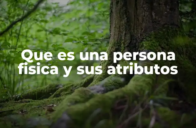 Diferencias entre personas físicas y jurídicas