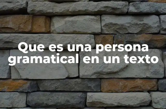Que es una Persona Gramatical en un Texto