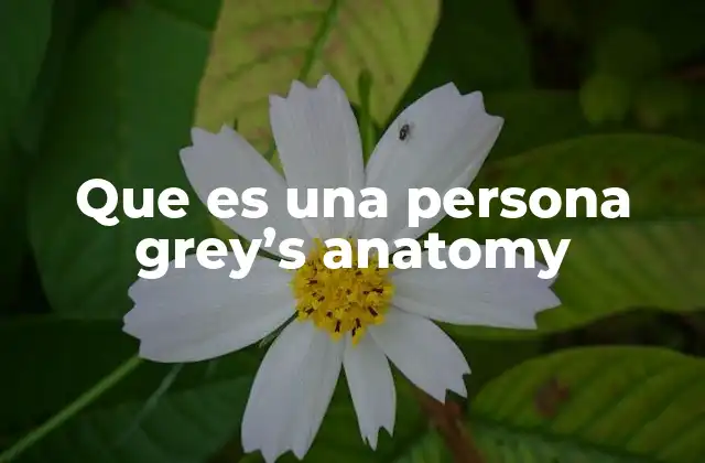Que es una Persona Grey’s Anatomy