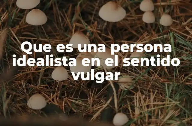 Que es una Persona Idealista en el Sentido Vulgar