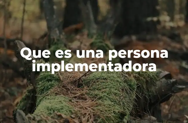 Que es una Persona Implementadora