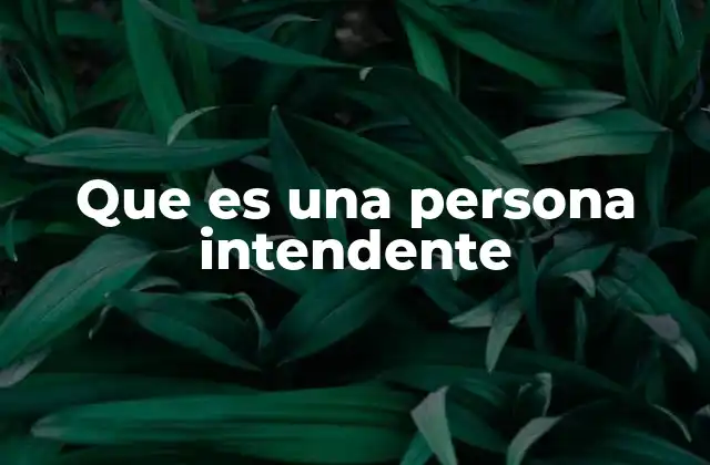 Que es una Persona Intendente
