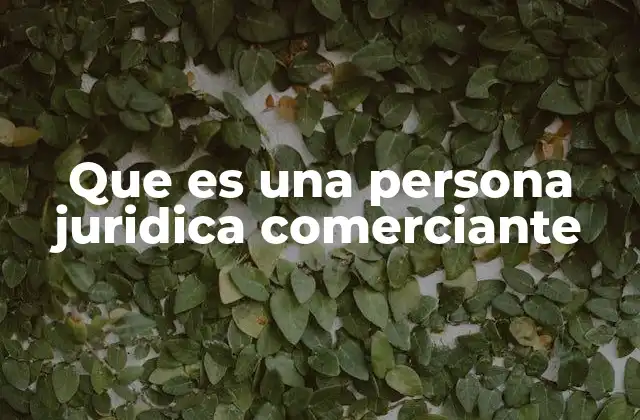 Que es una Persona Juridica Comerciante 2 Características de una persona jurídica comerciante