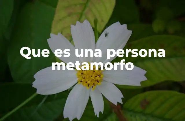 Que es una Persona Metamorfo