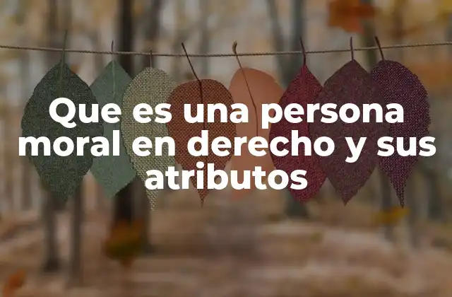 Que es una Persona Moral en Derecho y Sus Atributos