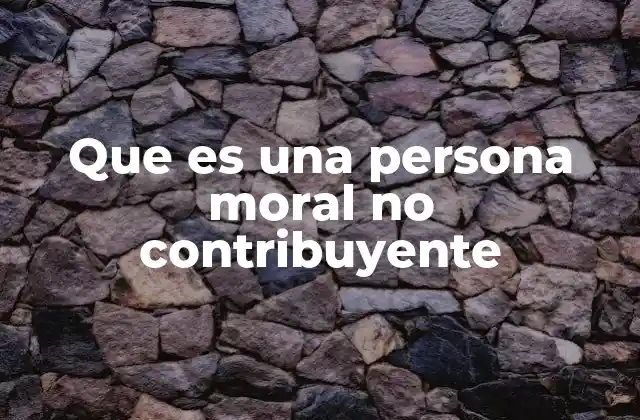 Que es una Persona Moral No Contribuyente