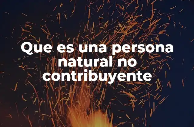 Que es una Persona Natural No Contribuyente