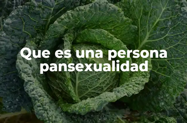 Que es una Persona Pansexualidad