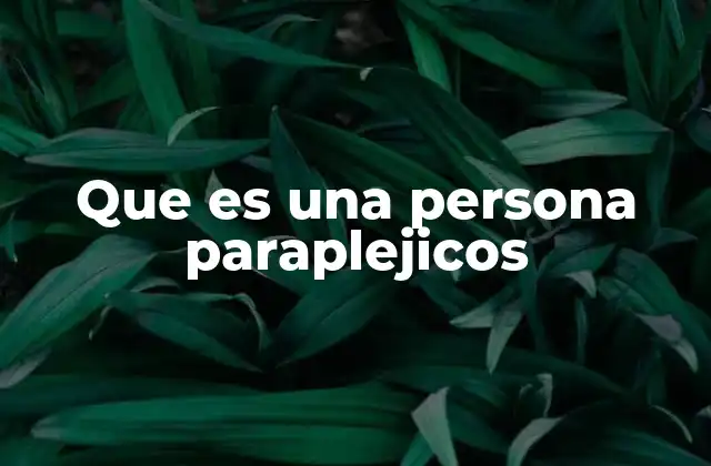 Que es una Persona Paraplejicos 2 La vida diaria de una persona con paraplejia