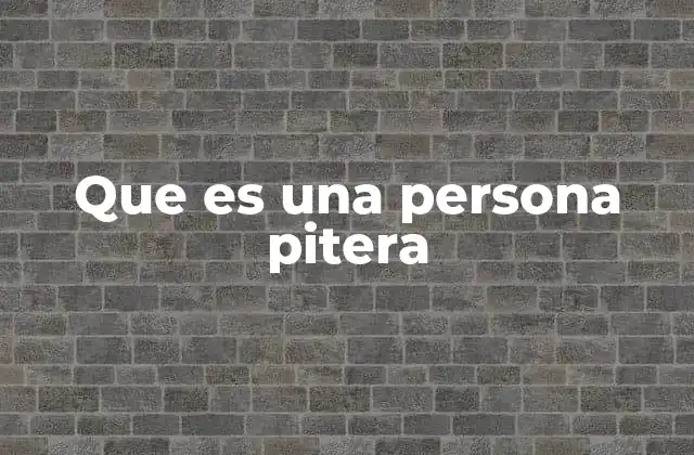 Que es una Persona Pitera