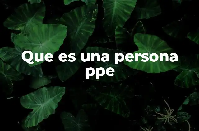 Que es una Persona Ppe