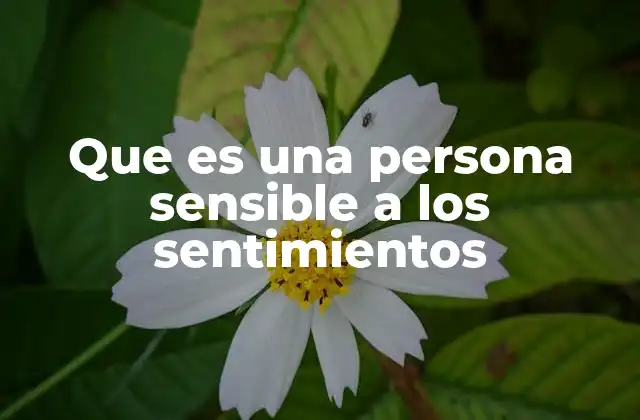 Que es una Persona Sensible a los Sentimientos