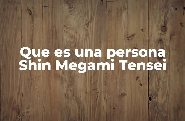 Que es una Persona Shin Megami Tensei
