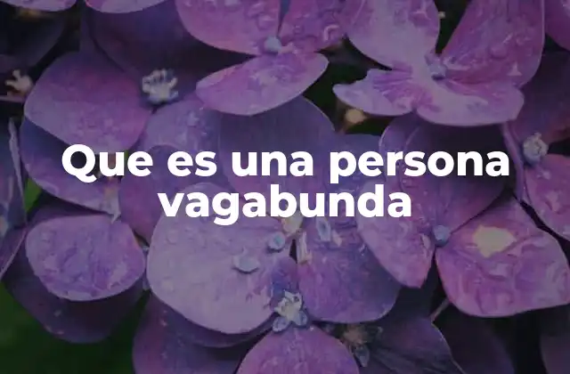 Que es una Persona Vagabunda