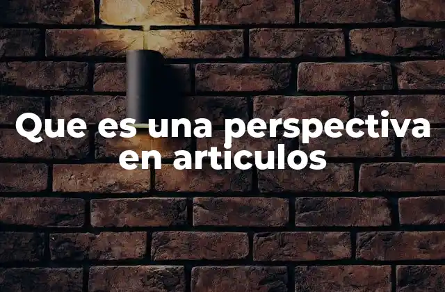 Que es una Perspectiva en Articulos