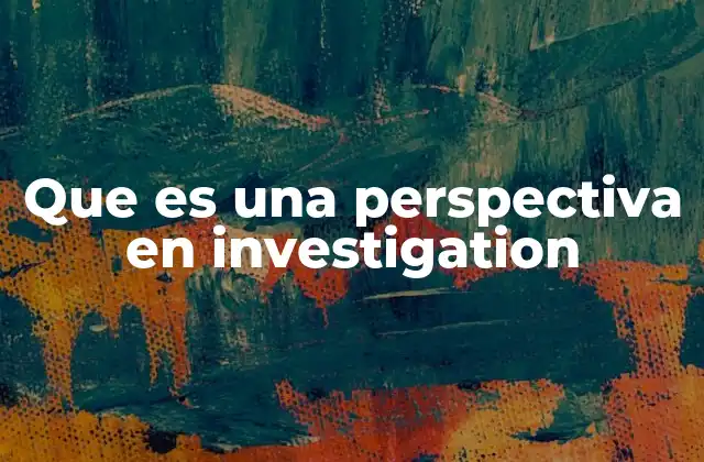 Que es una Perspectiva en Investigation