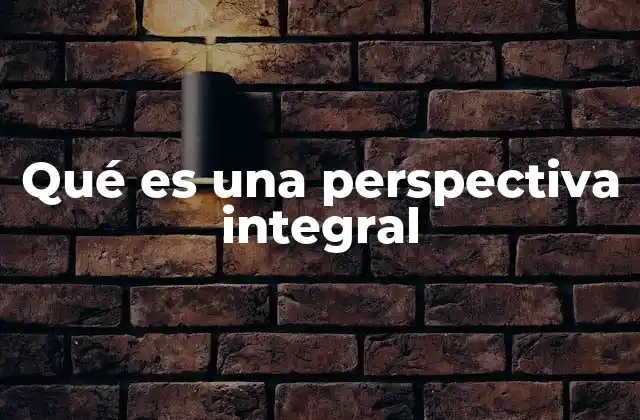 Qué es una Perspectiva Integral