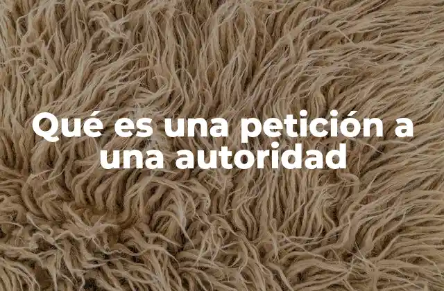 Qué es una Petición a una Autoridad