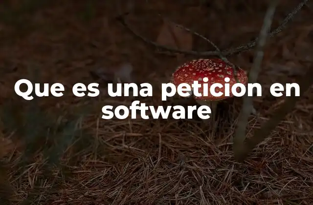 Que es una Peticion en Software