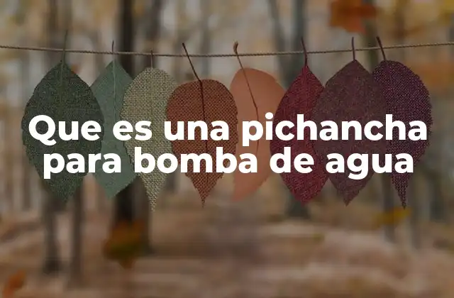 Que es una Pichancha para Bomba de Agua