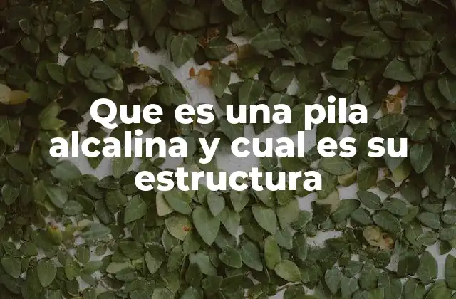 Que es una Pila Alcalina y Cual es Su Estructura