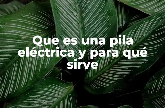 Que es una Pila Eléctrica y para Qué Sirve