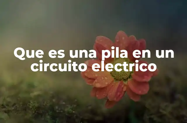 Que es una Pila en un Circuito Electrico