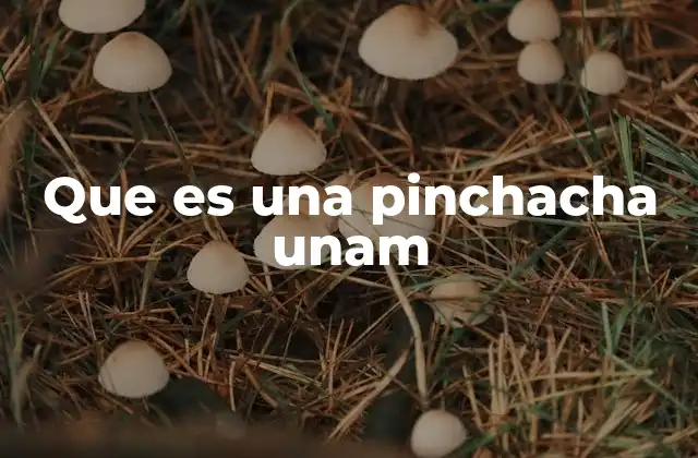 Que es una Pinchacha Unam